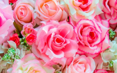 El significado de las Rosas (by Montse Arimany)