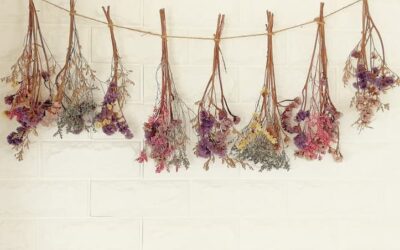 ¿Cómo utilizar flores secas en decoración?