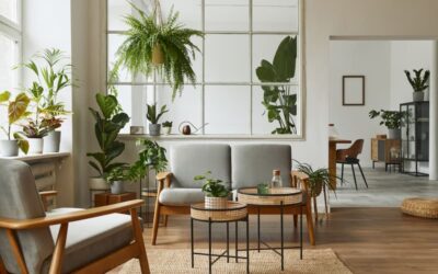 Consejos para decorar con plantas el salón