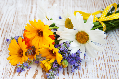 Flores locales de primavera